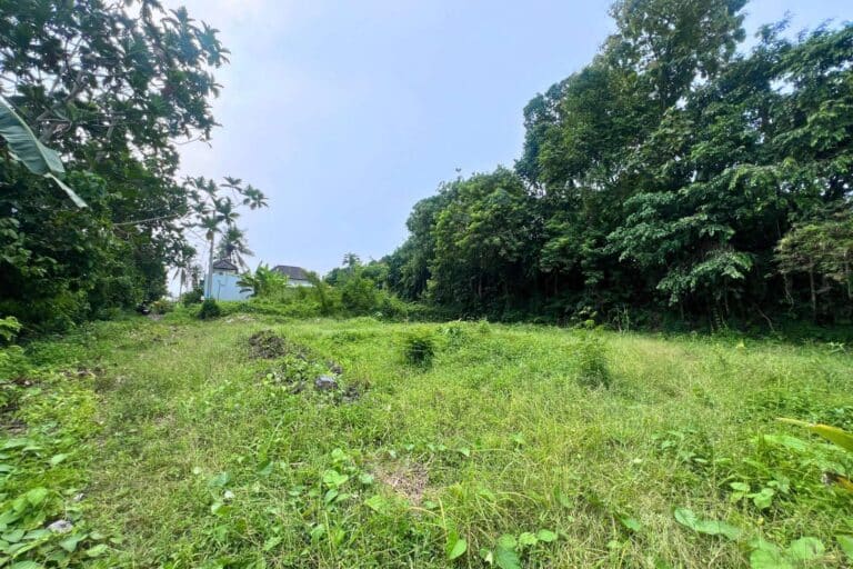 650-sqm-land-in-sudimara-for-sale-6