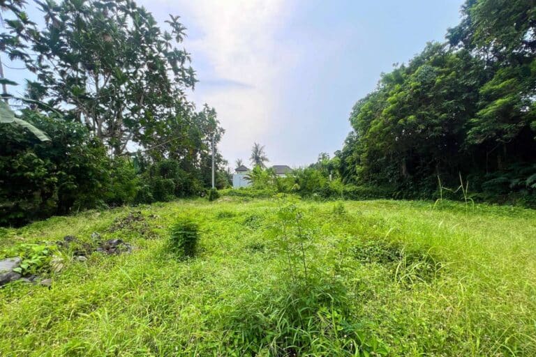 650-sqm-land-in-sudimara-for-sale-7