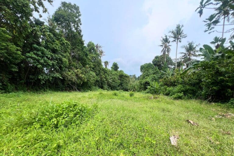 650-sqm-land-in-sudimara-for-sale-9