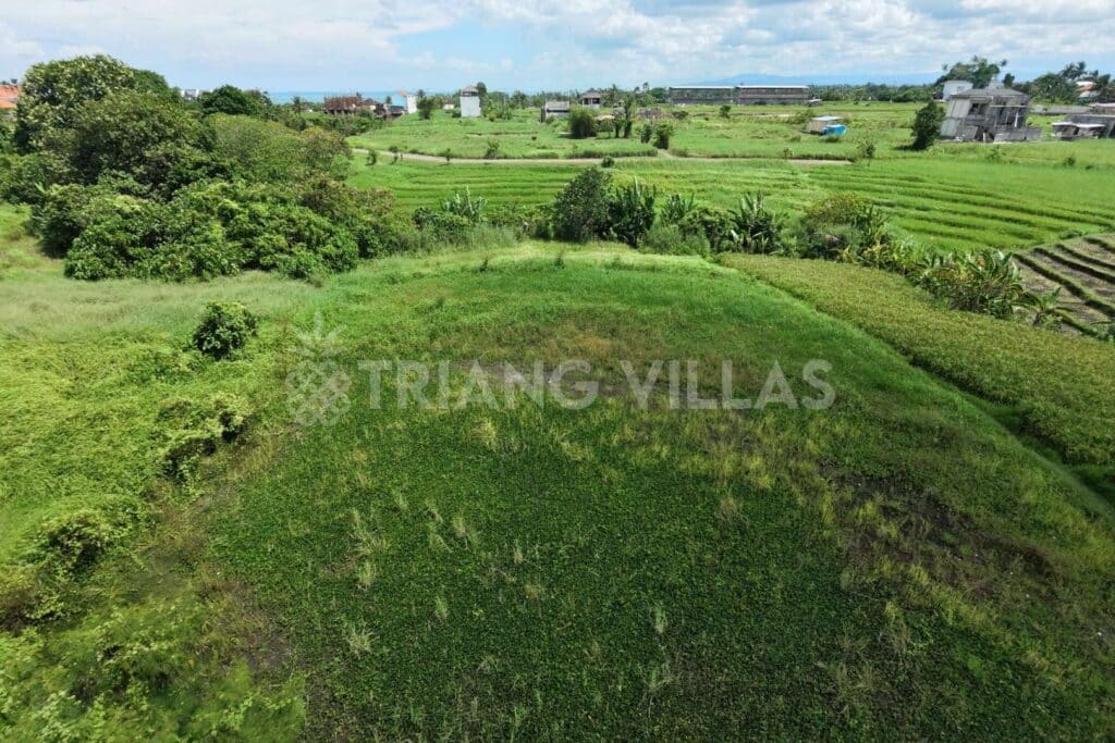 10-are-land-in-kedungu-near-beach-5