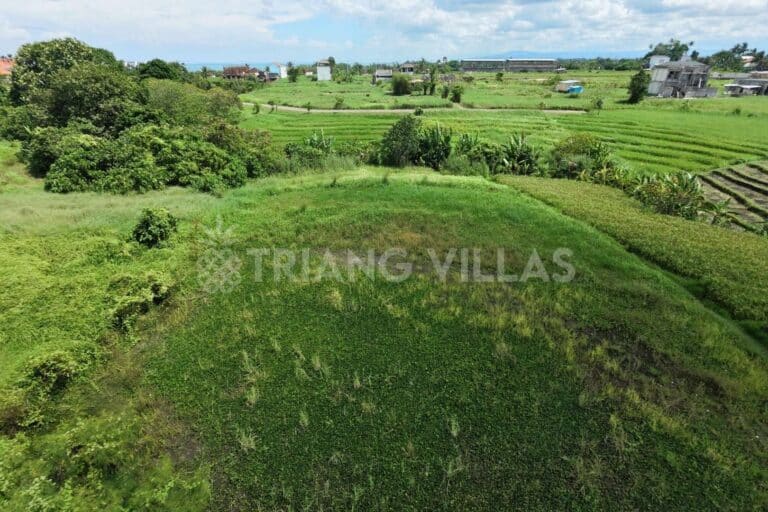 10-are-land-in-kedungu-near-beach-5