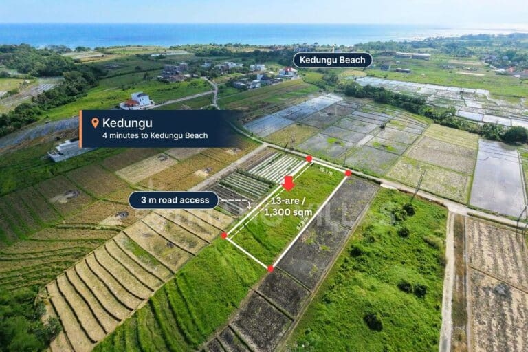 13-are-land-kedungu-1