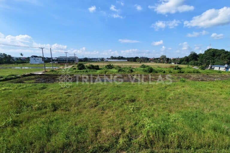 13-are-land-kedungu-10