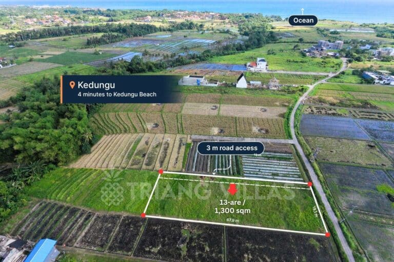 13-are-land-kedungu-2