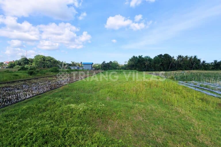 13-are-land-kedungu-6