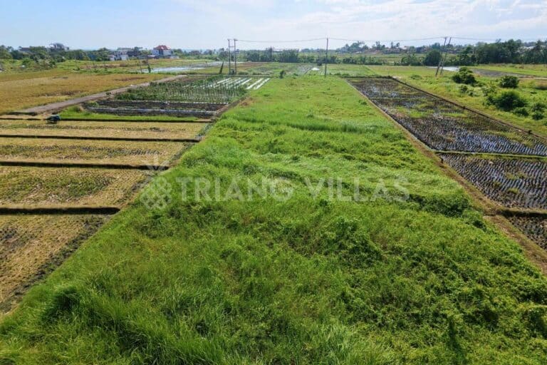 13-are-land-kedungu-7