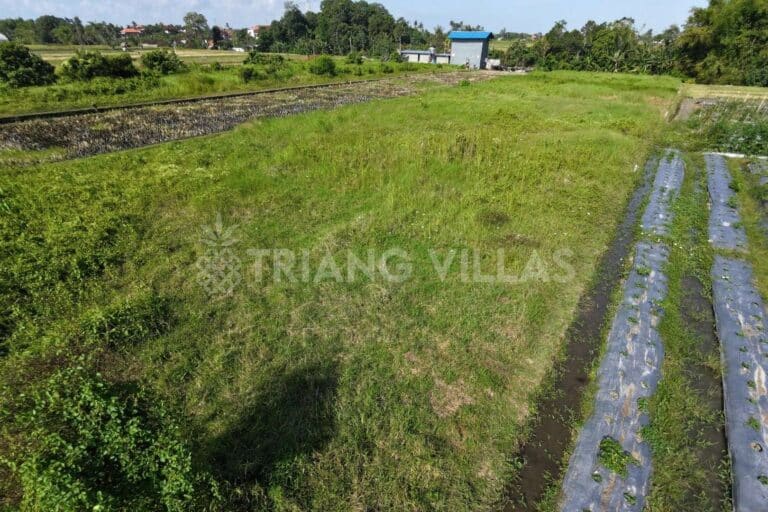 13-are-land-kedungu-9