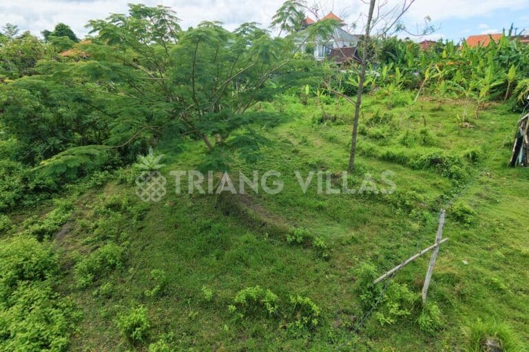 22-are-land-in-batu-bolong-leasehold-10