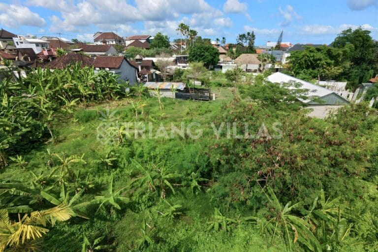22-are-land-in-batu-bolong-leasehold-12