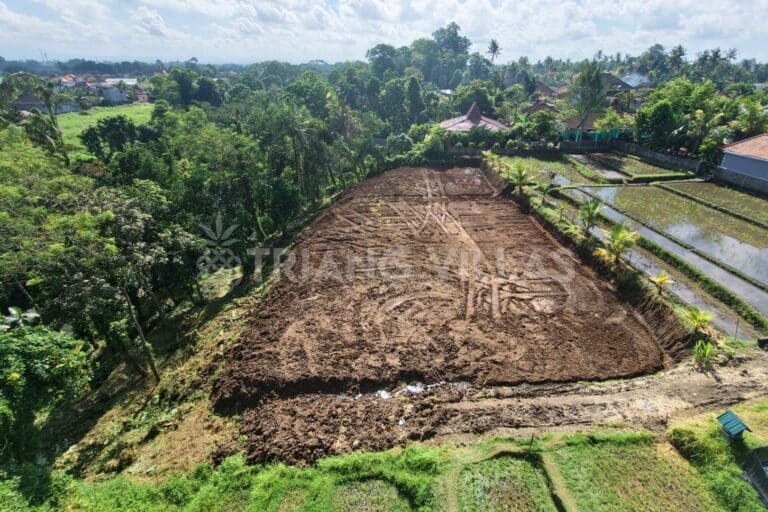 32-are-land-nyambu-leasehold-5