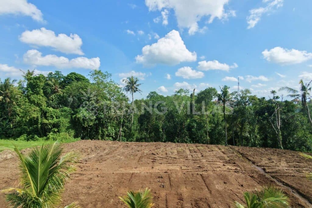 32-are-land-nyambu-leasehold-6