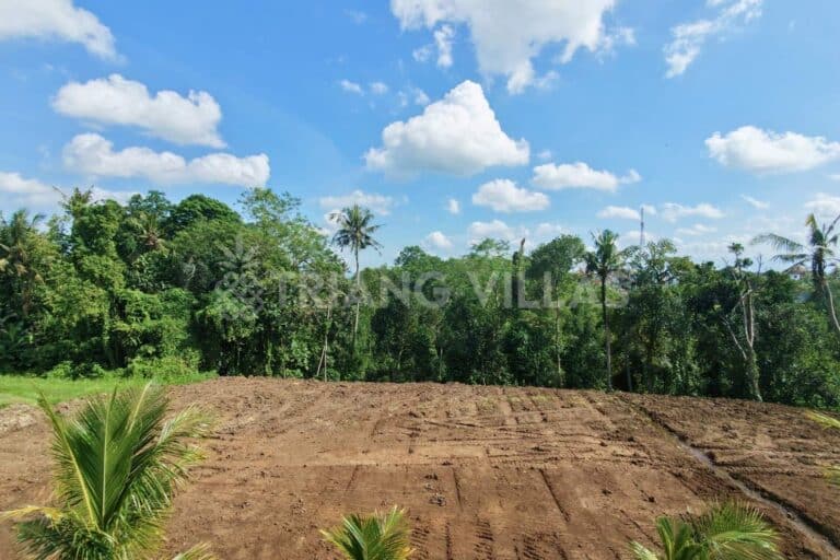 32-are-land-nyambu-leasehold-6