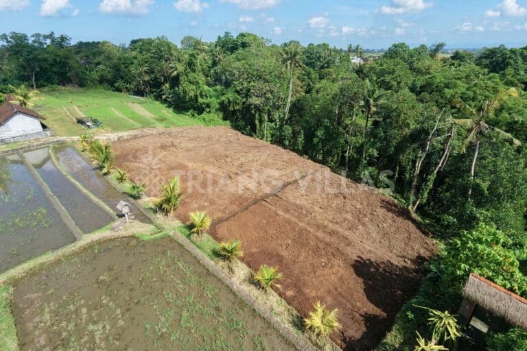 32-are-land-nyambu-leasehold-7