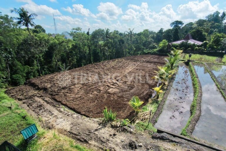 32-are-land-nyambu-leasehold-8