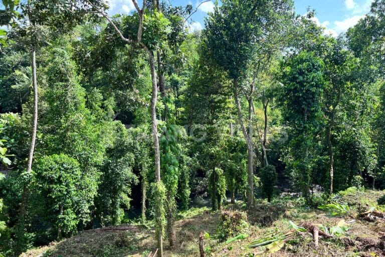 32-are-land-nyambu-leasehold-9