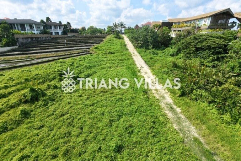 24-are-leasehold-land-pererenan-5