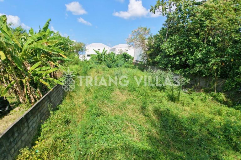 5-are-land-pink-zone-kedungu-4