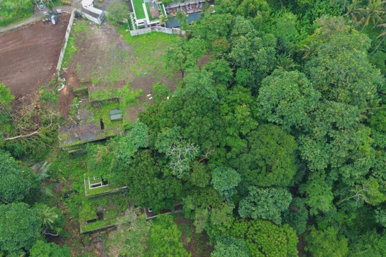 96.3-are-land-for-sale-pandak-gede-3