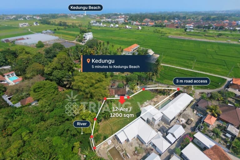12-are-land-for-lease-kedungu-1